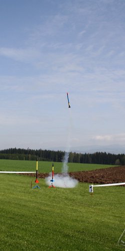 2013 Svojek Mirek Topinka